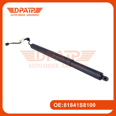 Hyundai Palisade için Power Liftgate Strut 81841S8100