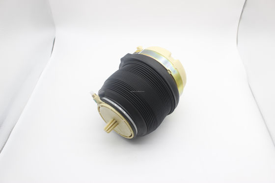 Audi A6C6 4F S6 OE Standart için uygun fiyatlı arka hava yayı süspansiyon çantası 4f0616001j