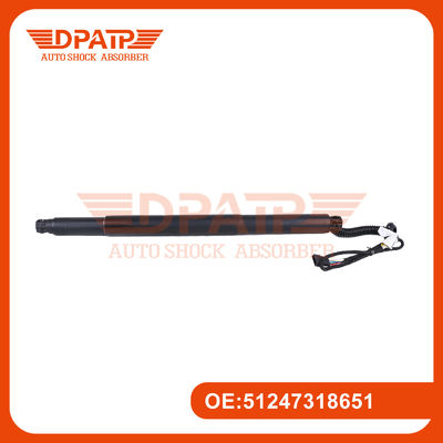 51247318651 BMW F16 Arka Sol için Konforlu Dayanıklı Elektrikli Arka Kapı Taşı