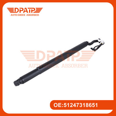 Otomatik Araç Arka Asansör Değeri Destek Taşı 51247318651 51247318652 BMW X6 F16 için